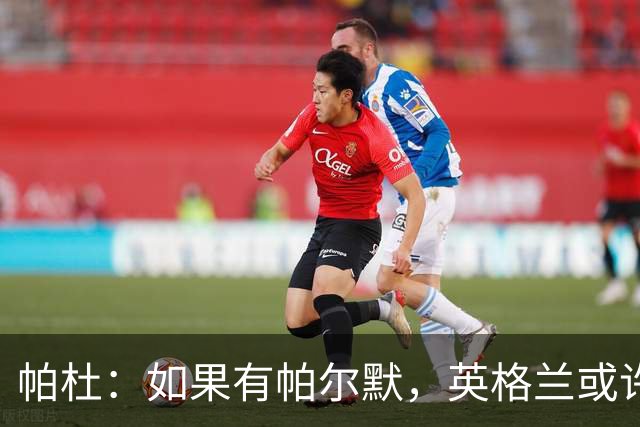 帕杜：如果有帕尔默，英格兰或许能破加纳防守
