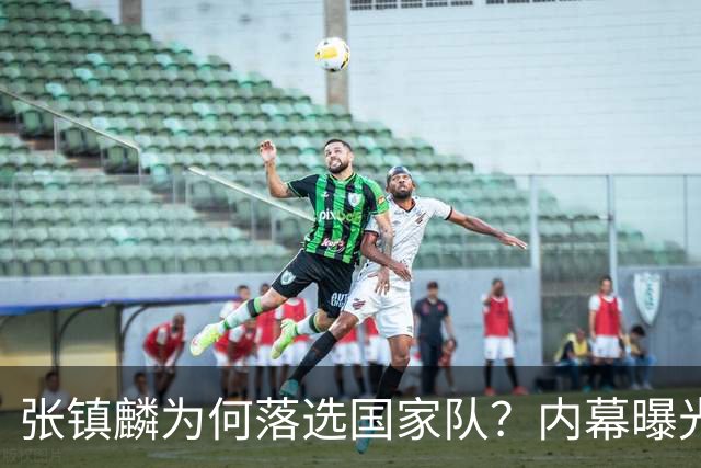 张镇麟为何落选国家队？内幕曝光，叫人心疼，郭士强并没放弃他