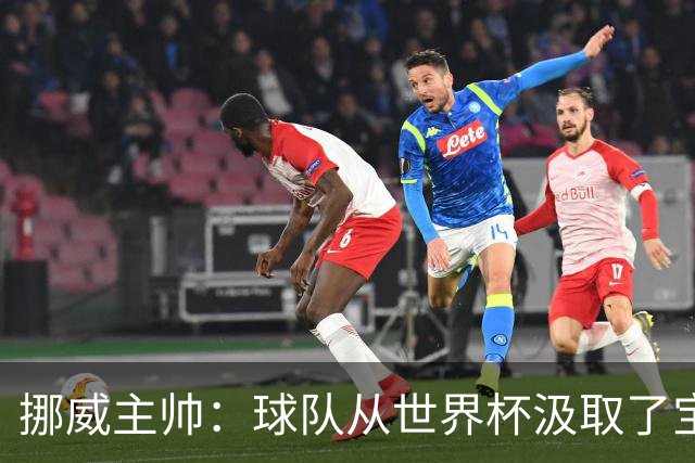 挪威主帅：球队从世界杯汲取了宝贵的经验，能在欧洲杯再攀高峰