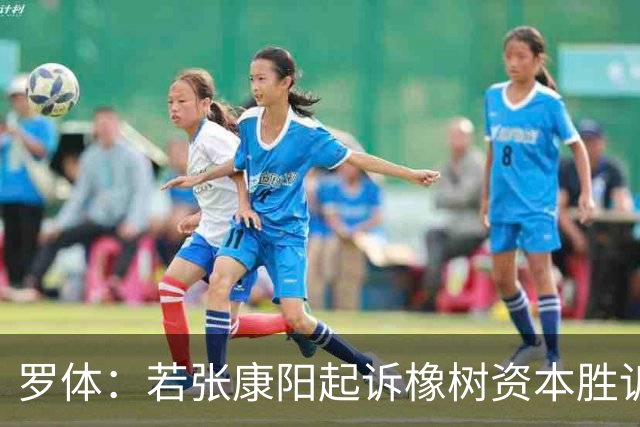罗体：若张康阳起诉橡树资本胜诉，最高索赔金额可达4.5亿欧